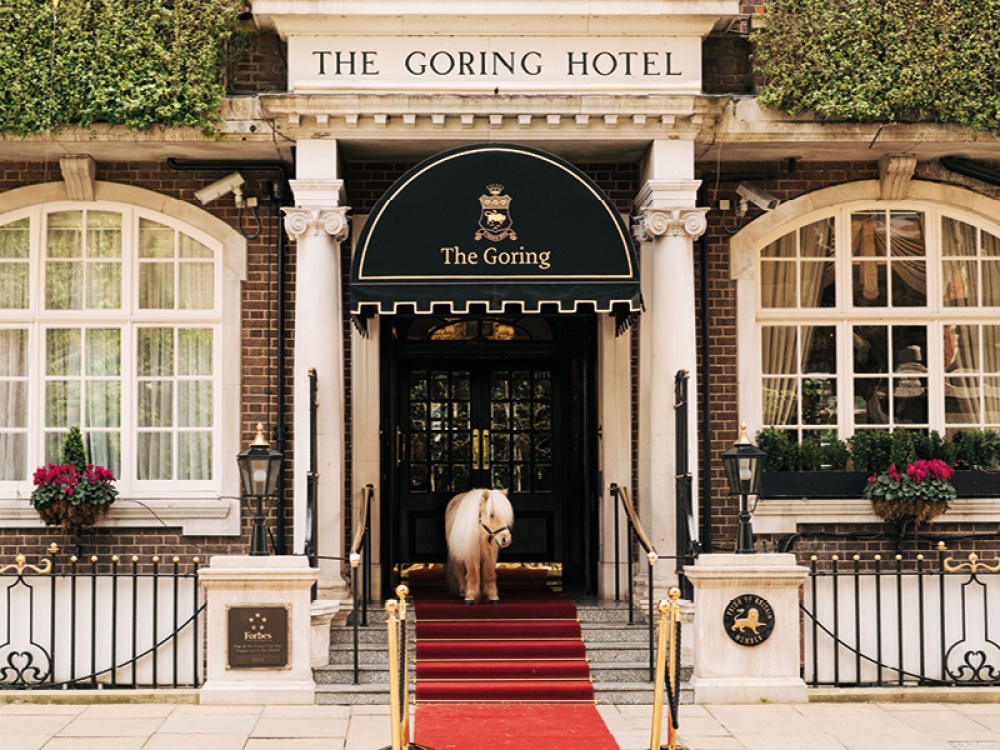 The Goring